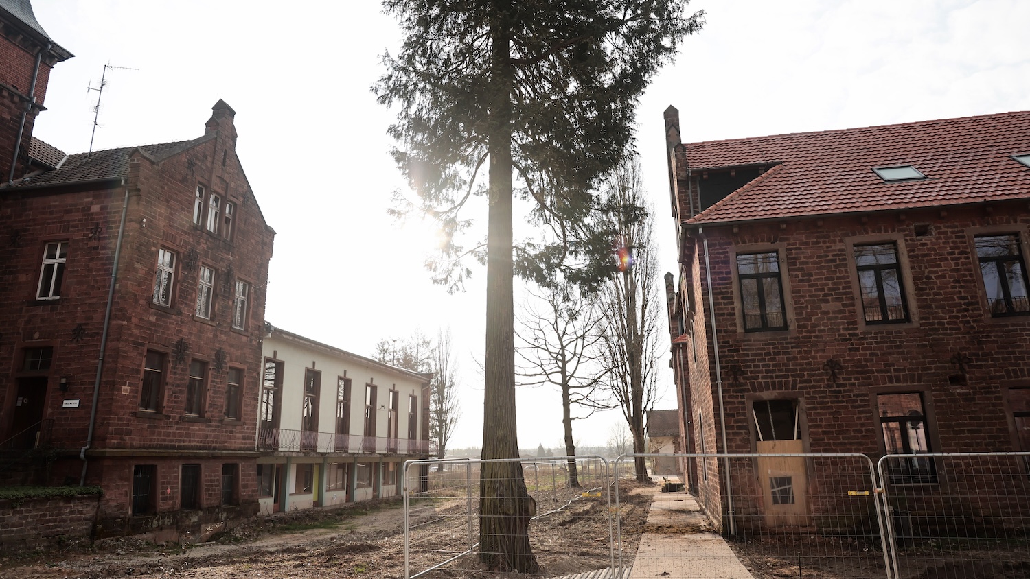 Bâtiments en briques rouges encadrant un arbre au centre, avec clôtures de chantier au sol.