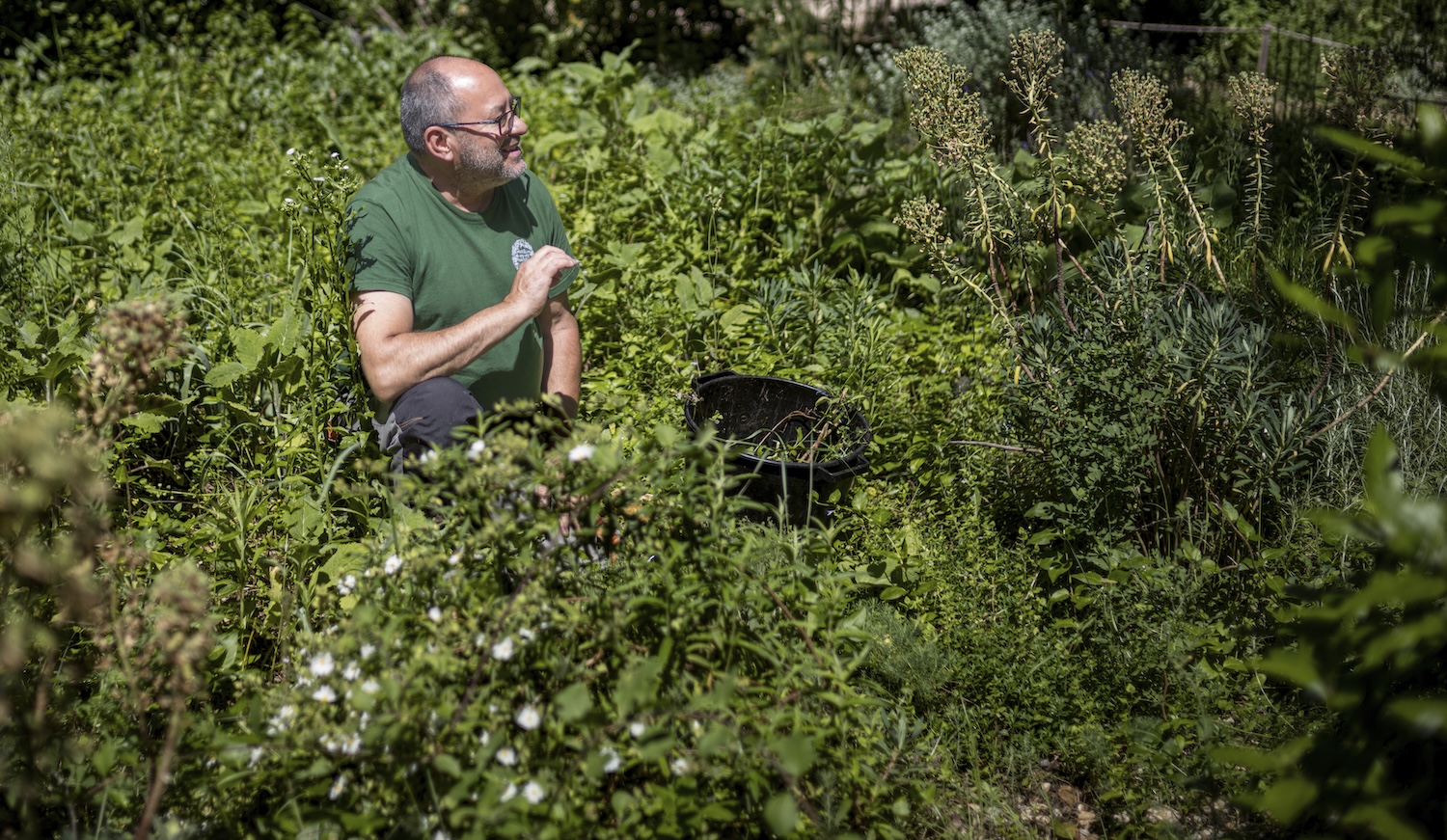 Un homme assis dans un jardin dense entouré de végétation luxuriante en plein été.