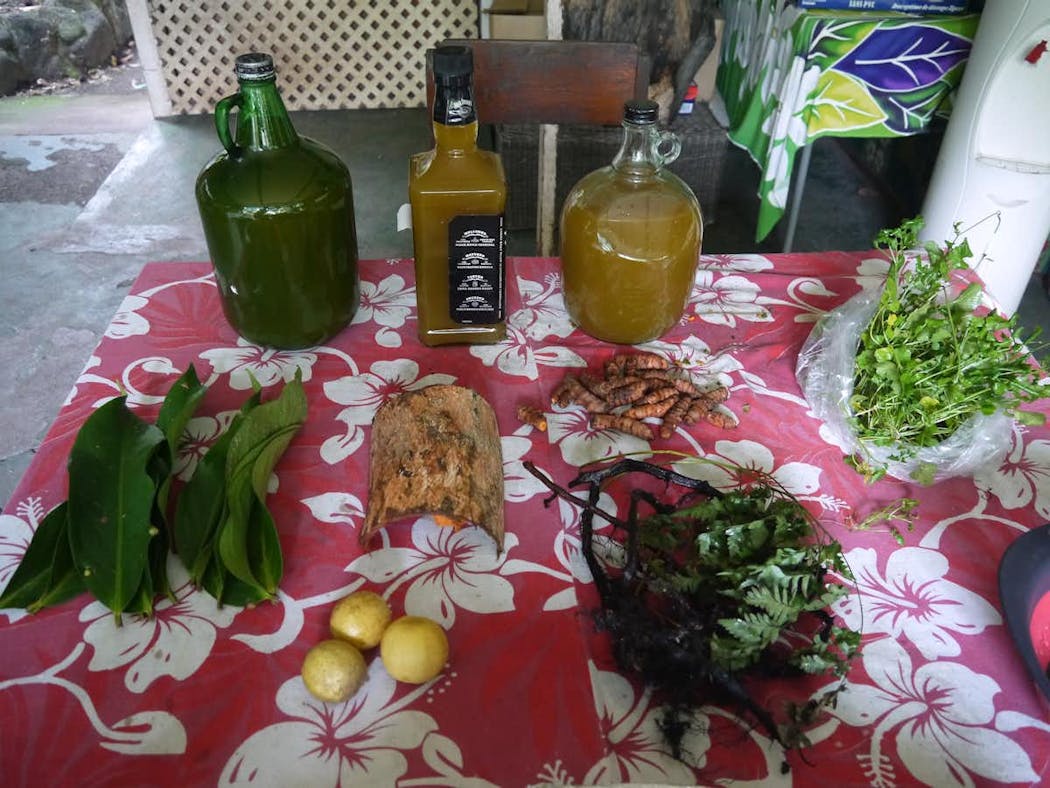 Ingrédients naturels et plantes médicinales disposés sur une nappe rouge à motifs floraux blancs.