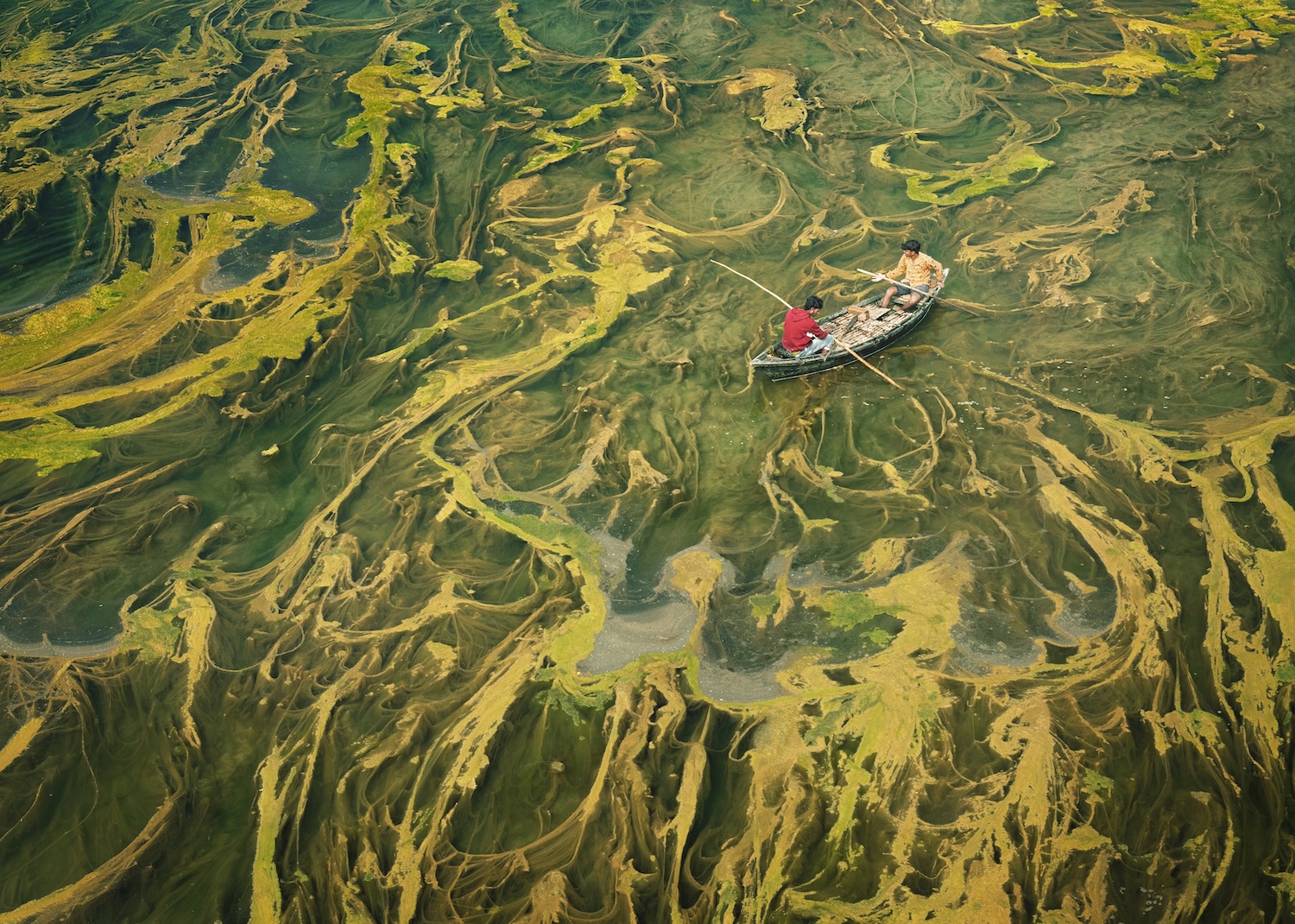 Un pêcheur en barque navigue sur une eau couverte d'algues aux motifs tourbillonnants.