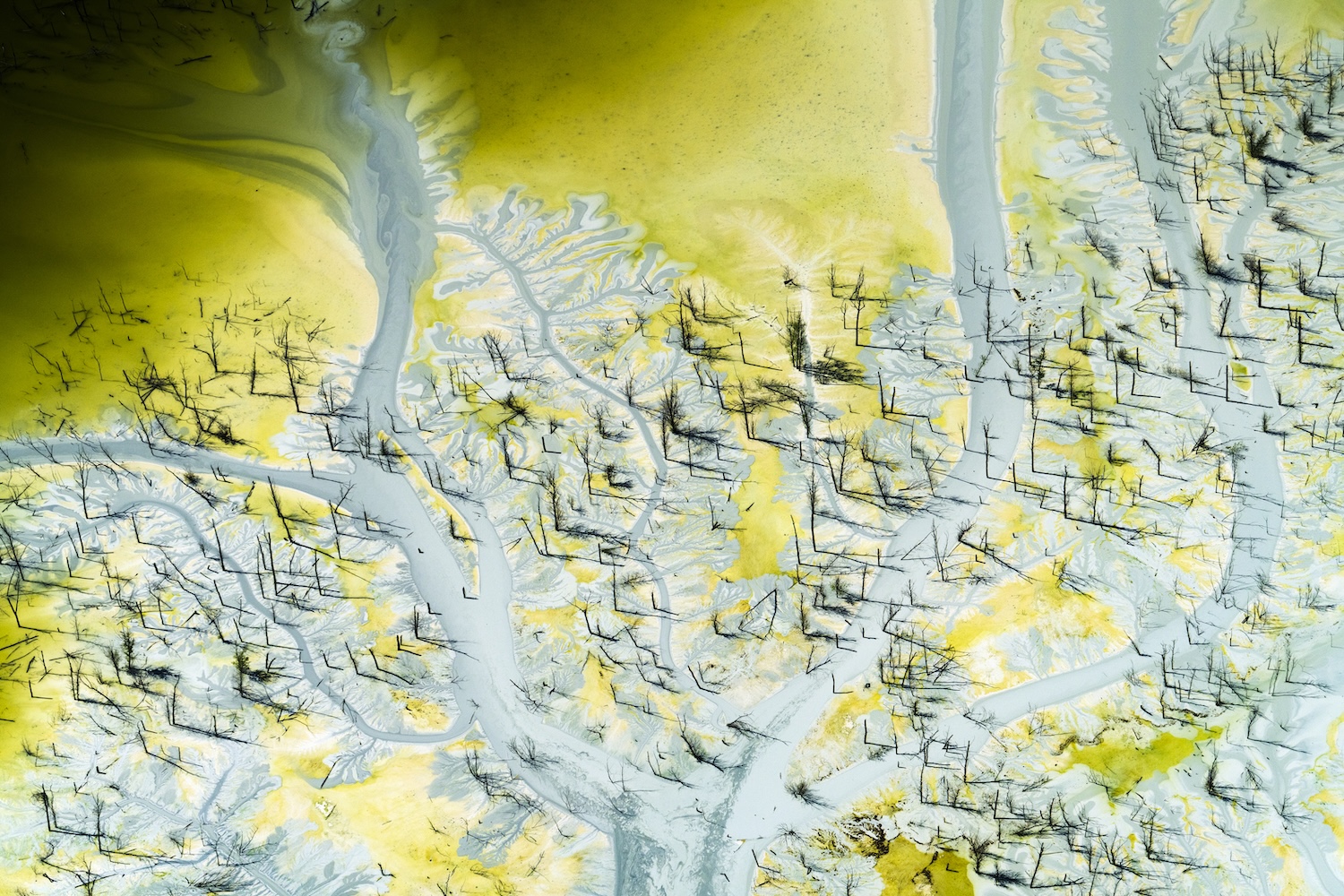 Vue aérienne abstraite d’un delta de rivière aux teintes jaunes, vertes et bleues.