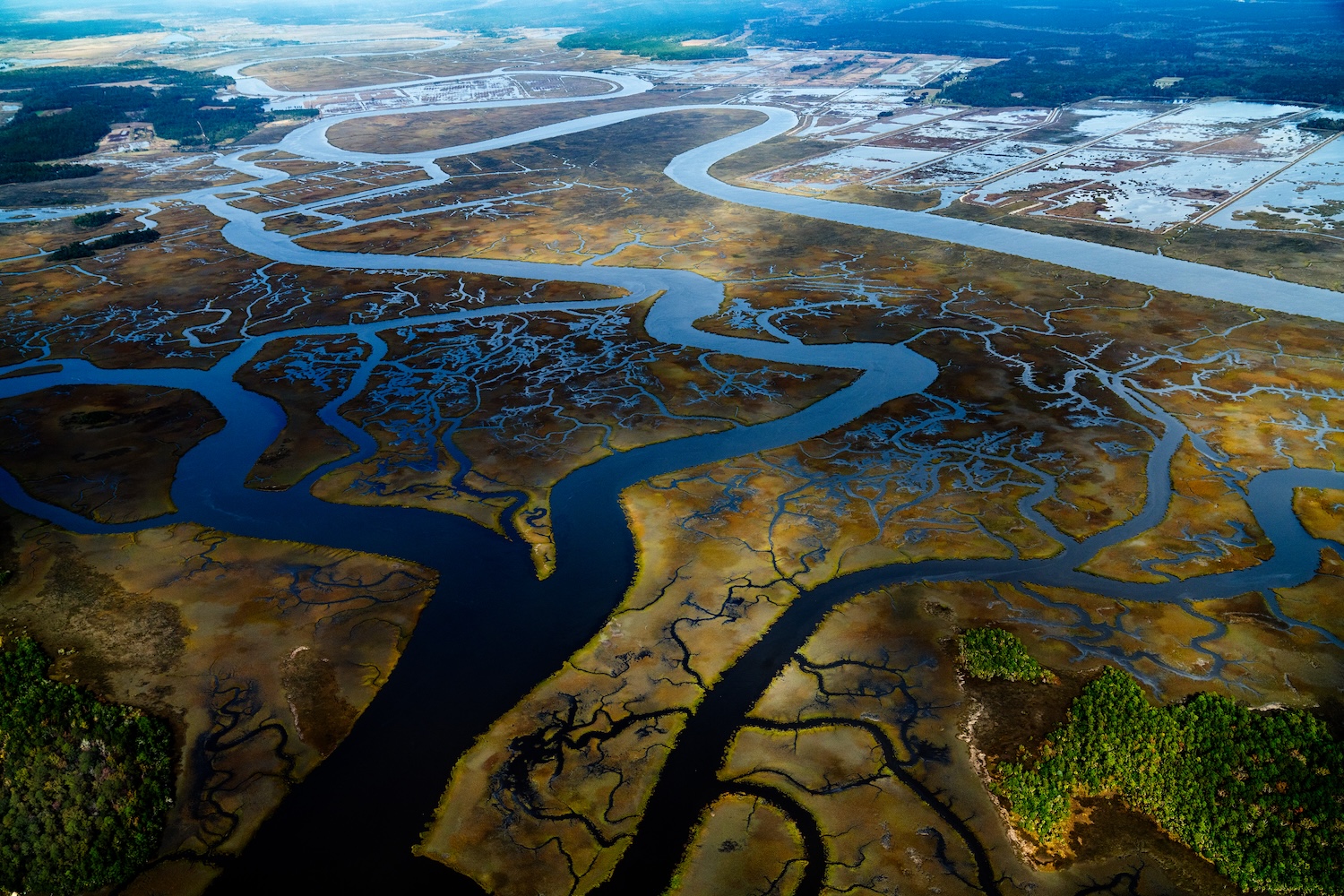 Vue aérienne d’un delta fluvial avec de nombreux bras d’eau serpentant à travers les marécages.
