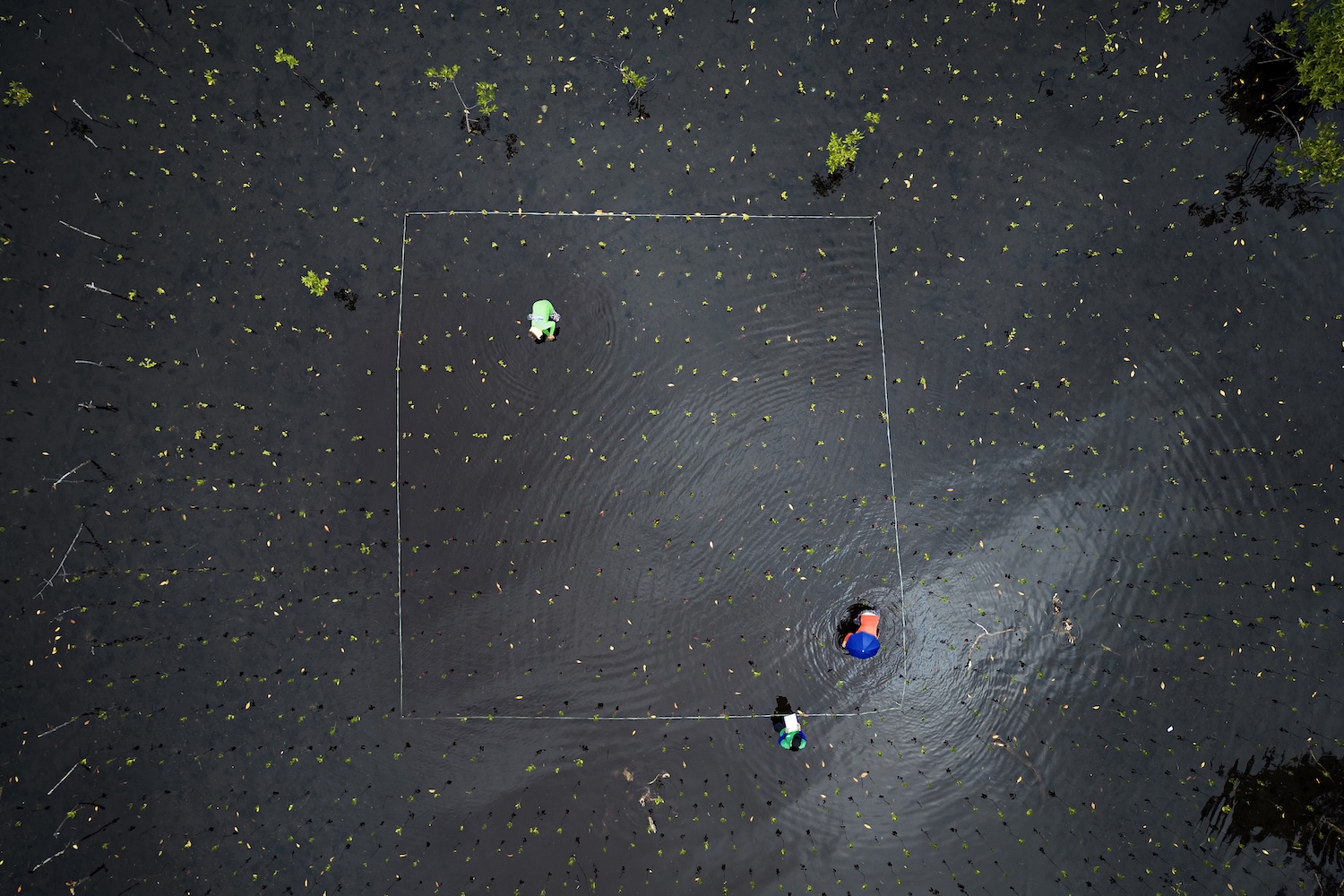 Vue aérienne de trois personnes autour d’un carré tracé sur un sol sombre et mouillé