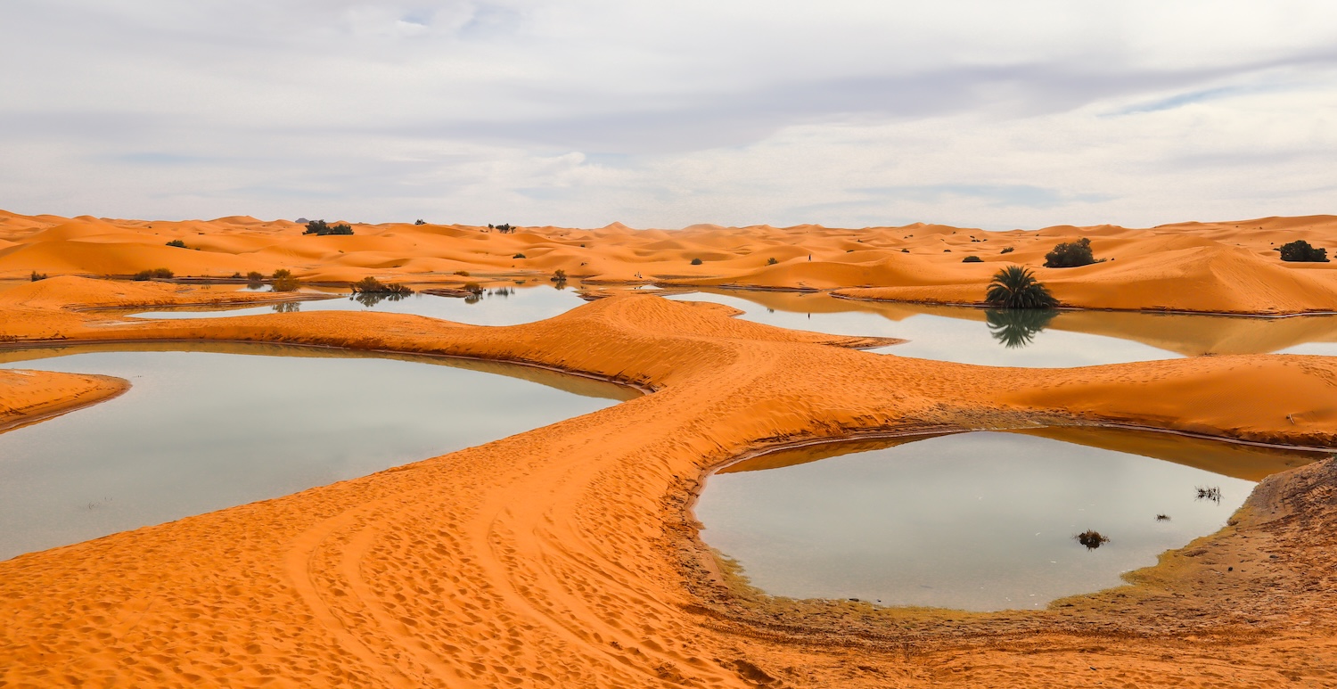 Oasis au milieu des dunes orangées d’un désert sous un ciel légèrement nuageux