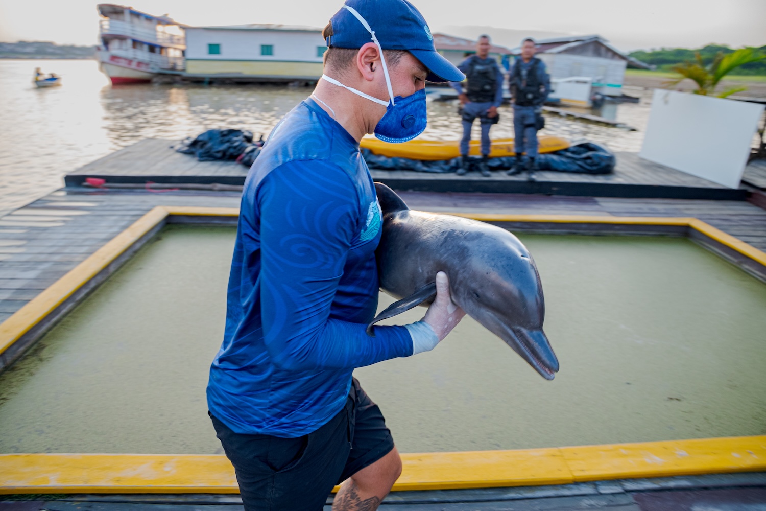 Un homme transporte un dauphin blessé près d’un bassin sur un quai.