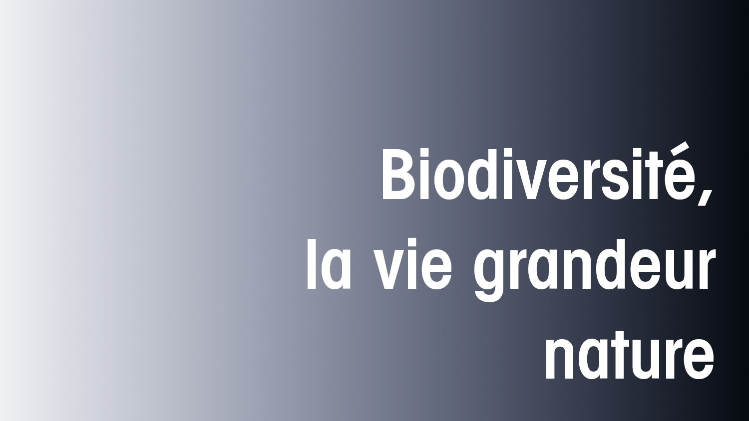 Biodiversité, la vie grandeur nature