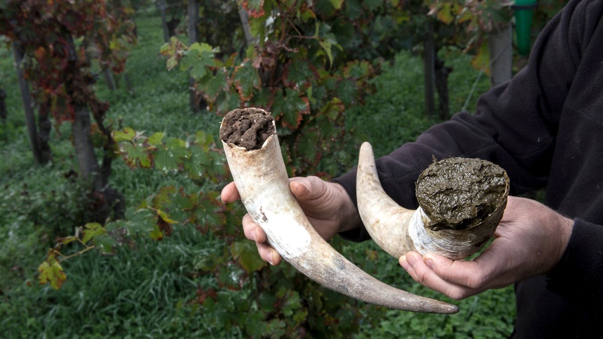 Biodynamie : ce que la science révèle