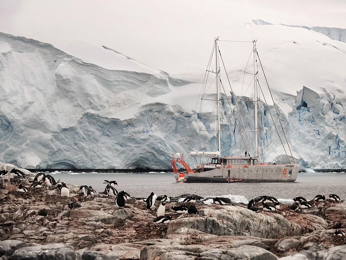 Bateau à voile près d’un glacier avec des manchots sur la rive rocheuse au premier plan