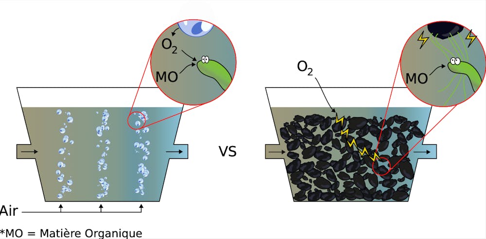 Comparaison de la dégradation de matière organique avec et sans présence de charbon actif.