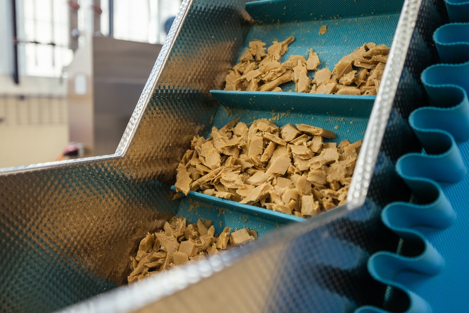 Morceaux de pâte brune transportés sur un convoyeur dans une usine de production alimentaire