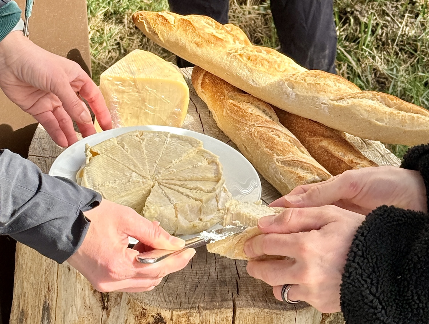 Personnes partageant du fromage et des baguettes sur une table en bois à l'extérieur.