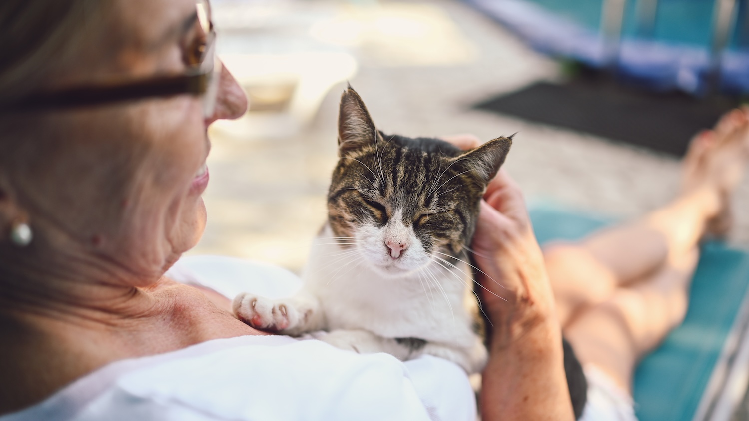 Une femme tient un chat sur ses genoux, tous deux profitant du soleil.