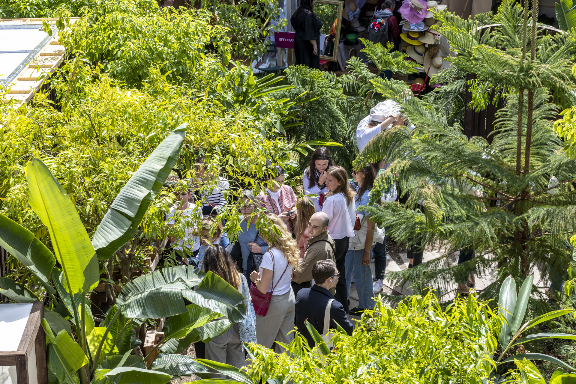 Groupe de personnes marchant dans un jardin luxuriant avec de nombreuses plantes vertes.