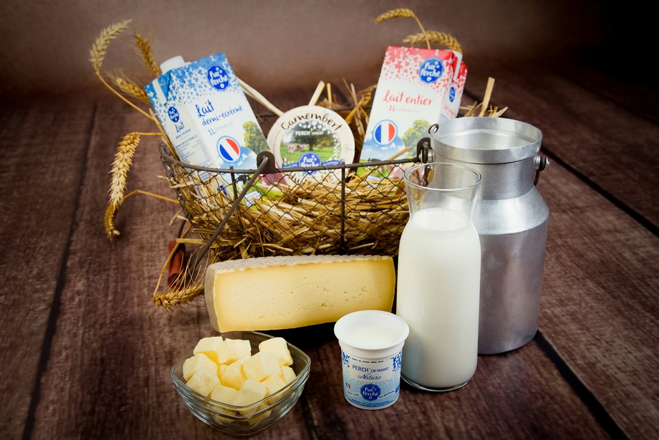 Produits laitiers variés dans un panier : lait, fromages, beurre et yaourt.