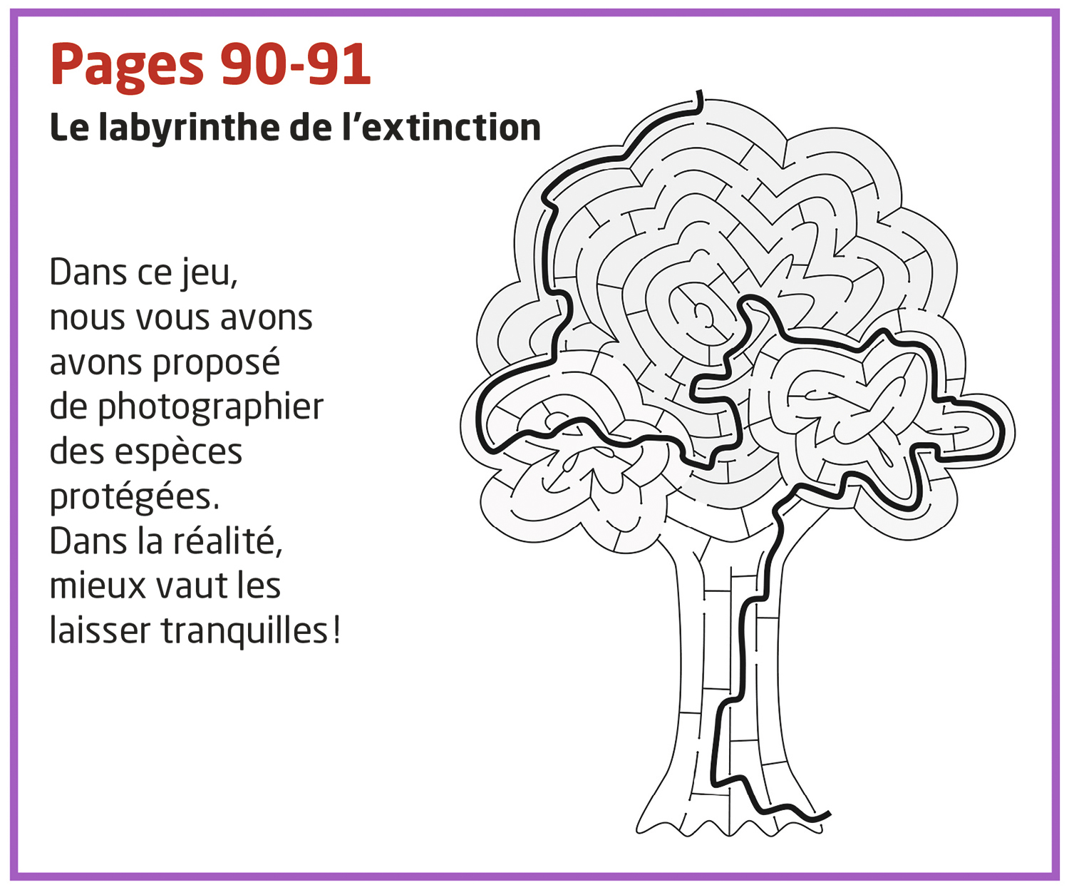 Labyrinthe en forme d'arbre avec message sur la protection des espèces en arrière-plan.