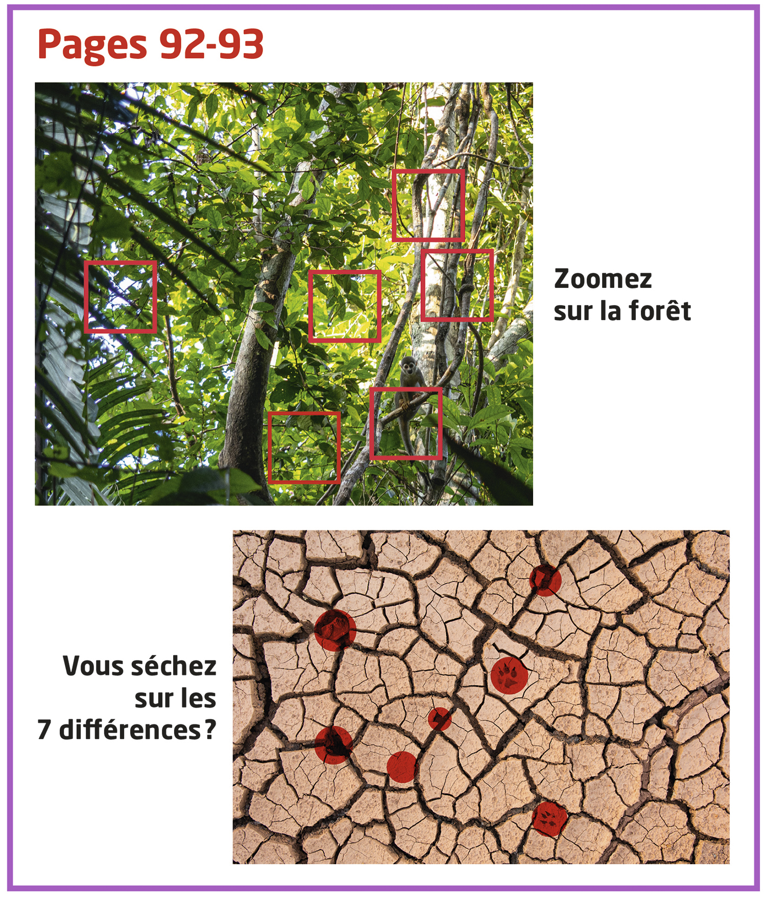 Forêt dense comparée à un sol craquelé par la sécheresse, mise en évidence.