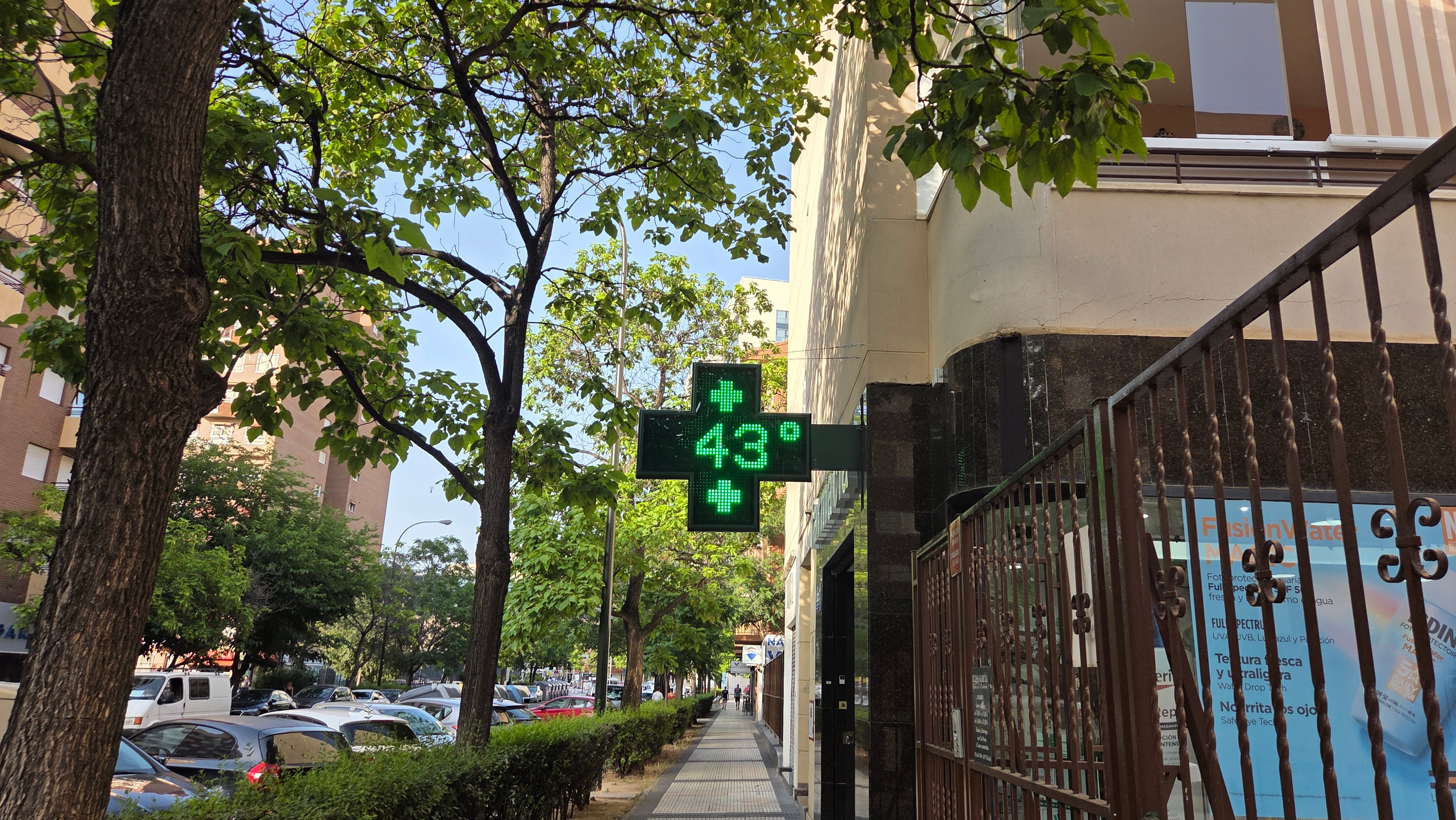 Affichage de pharmacie indiquant 43 degrés Celsius dans une rue bordée d'arbres.