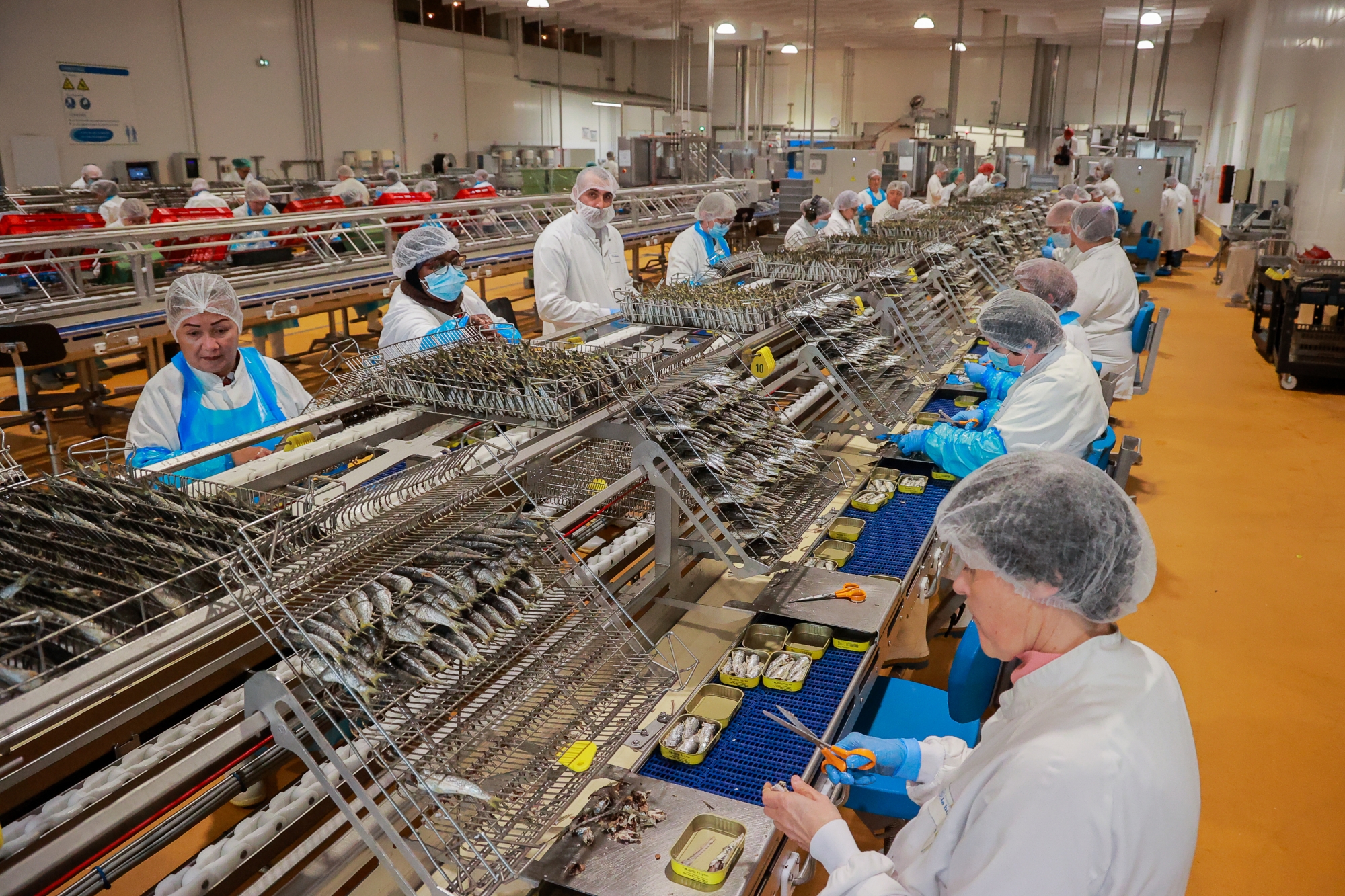 Travailleurs en tenues de protection assemblant des produits dans une usine sur une chaîne de production.