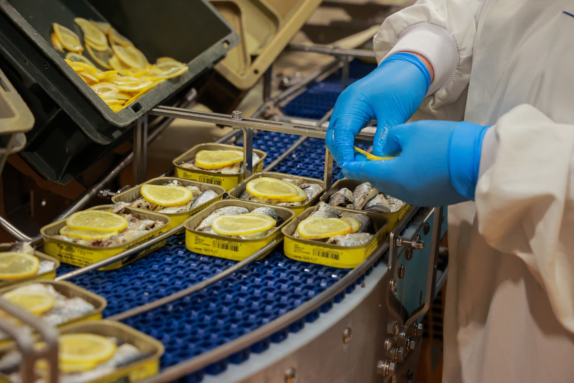 Personne en gants bleus préparant des boîtes de conserve avec tranches de citron sur tapis roulant.