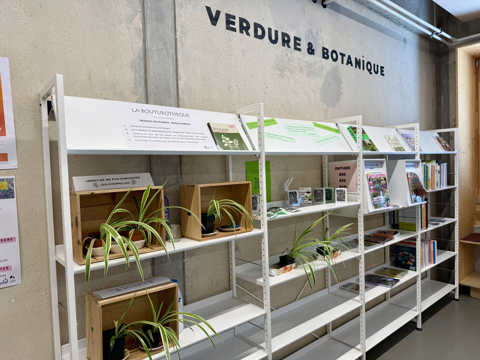 Étagères blanches avec plantes, livres et affiches sur le thème de la botanique.