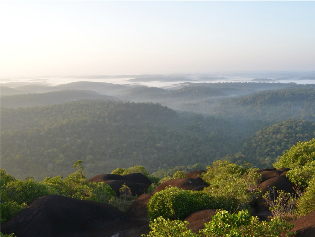 Paysage de collines verdoyantes avec brume matinale et ciel dégagé à l'horizon.
