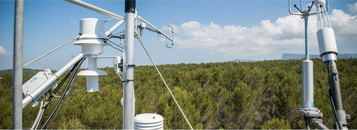 Station météorologique avec capteurs au-dessus de la canopée d'une forêt sous un ciel bleu