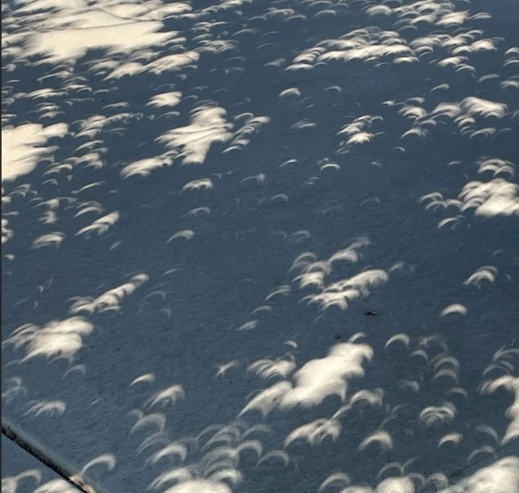 Ombres en forme de croissants sur le sol pendant une éclipse solaire partielle.