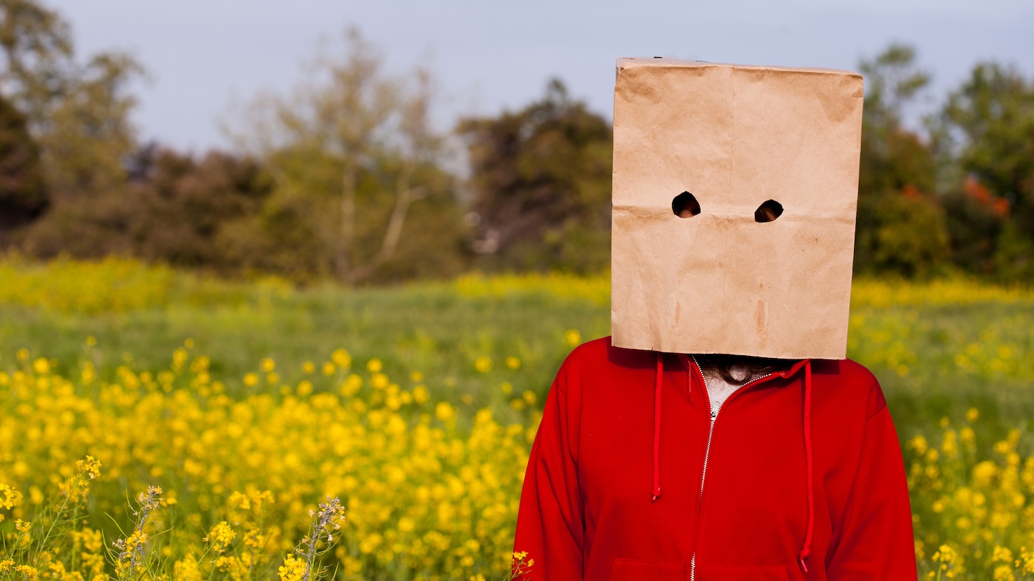 Personne portant un sac en papier sur la tête dans un champ fleuri.
