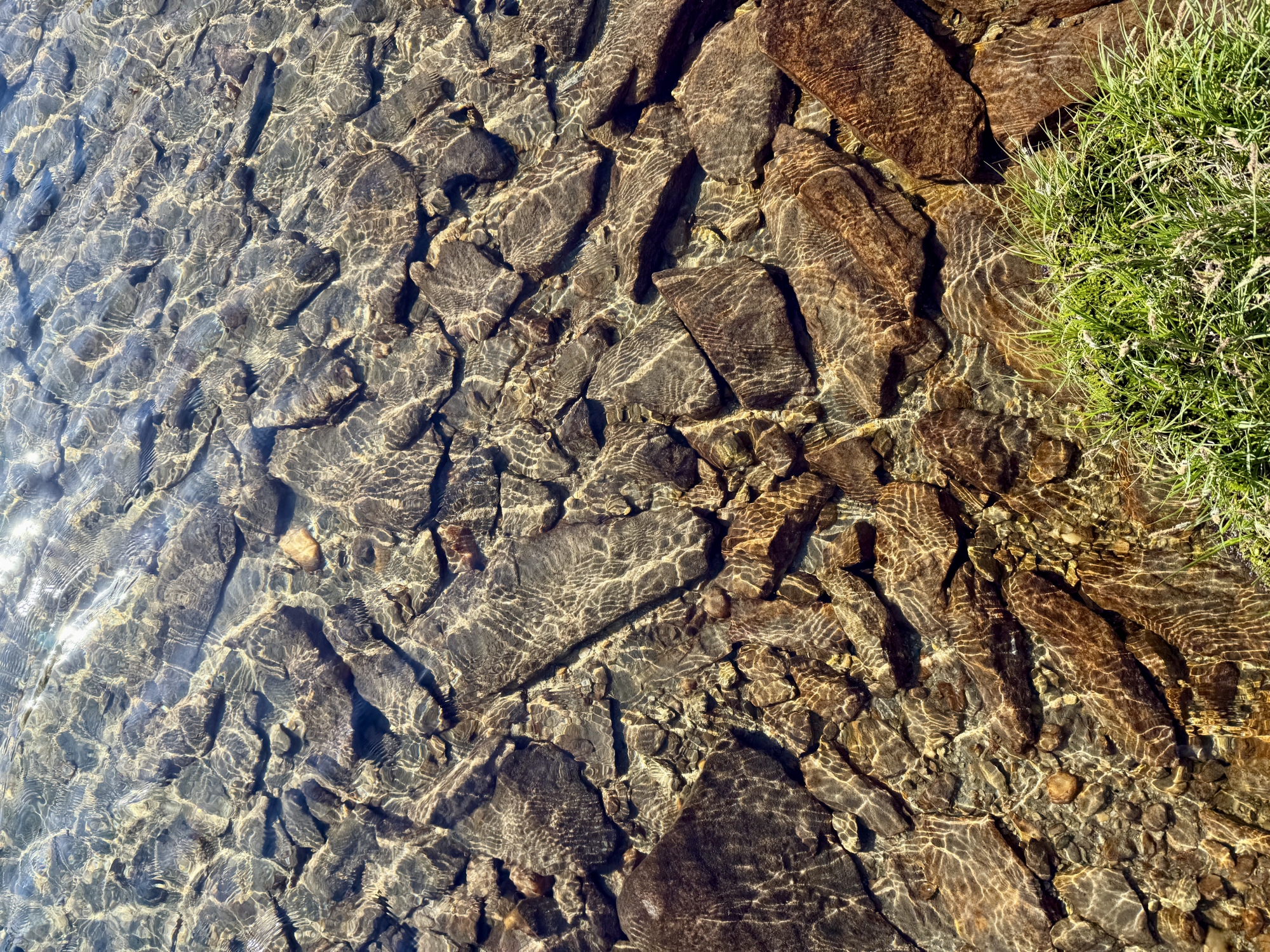 Eau claire sur des rochers avec herbe à droite, lumière créant des motifs aquatiques.