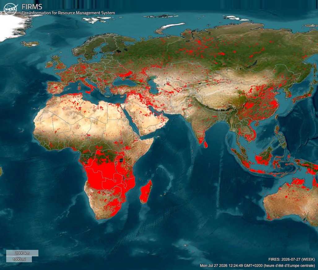 Carte mondiale montrant des zones rouges représentant les incendies actifs sur différents continents.
