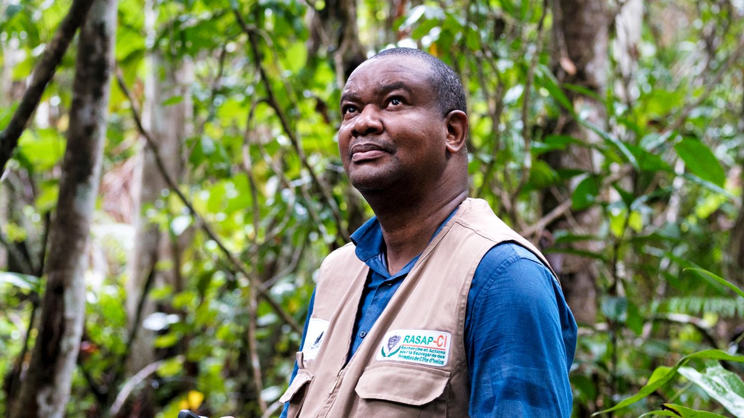 Inza Koné, l’avocat des singes