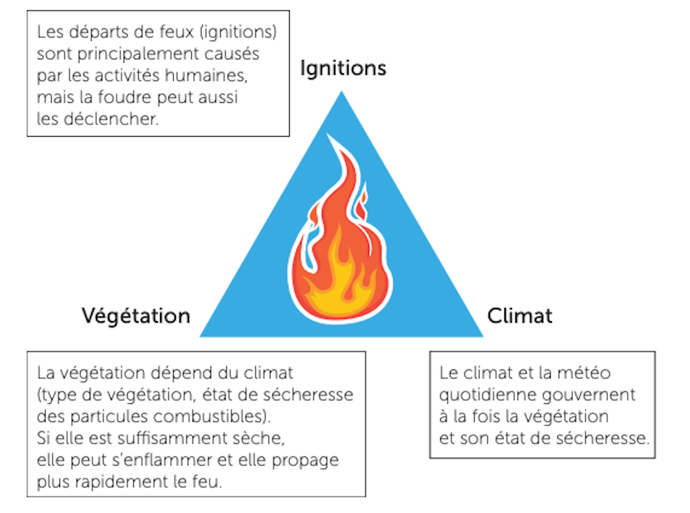 Triangle du feu : Ignitions, Végétation, Climat. Facteurs influençant les incendies et la sécheresse.