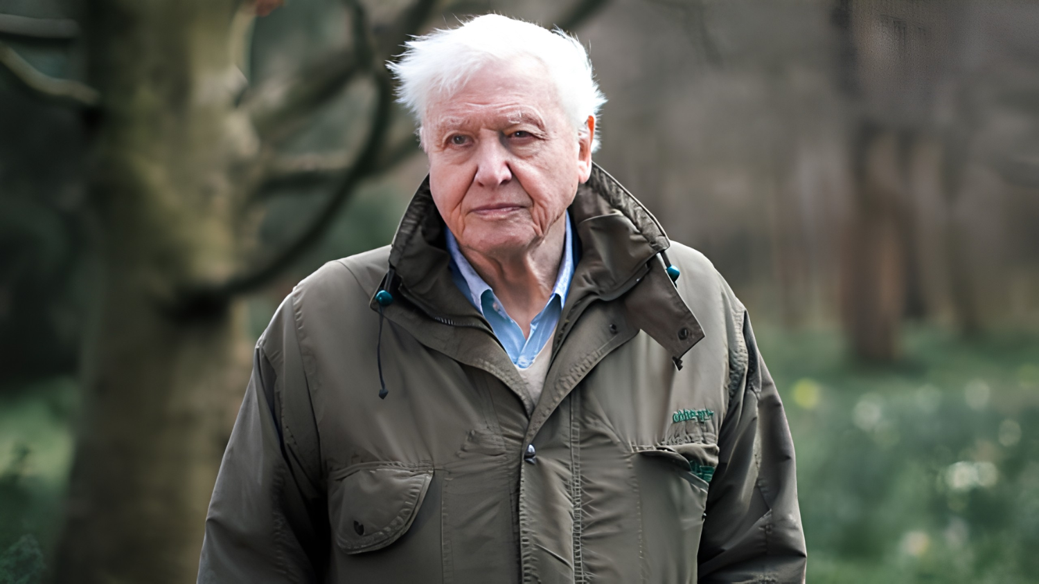 Homme âgé en veste, debout dans un jardin avec des arbres et des fleurs en arrière-plan.
