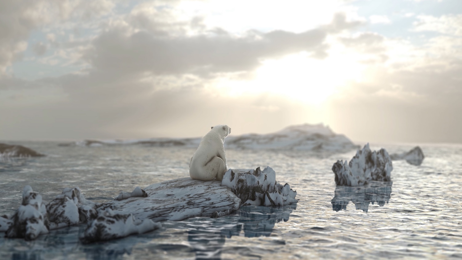 Ours polaire assis sur un morceau de glace flottant dans un paysage arctique au coucher du soleil.