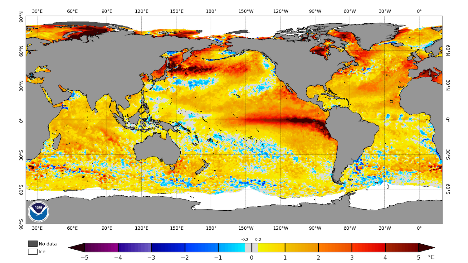Carte mondiale des anomalies de température de surface de la mer par la NOAA en 2023.