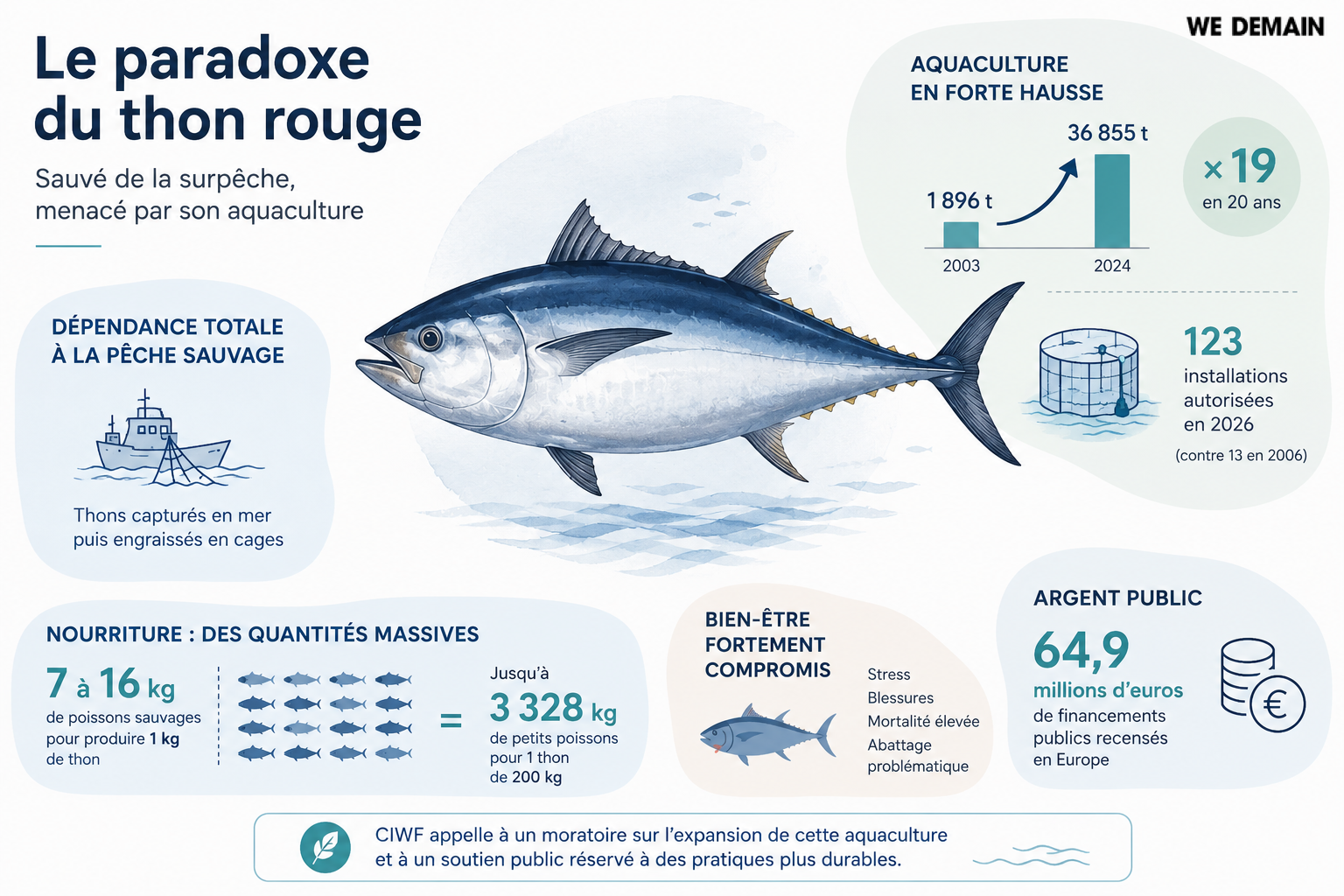 Infographie sur le thon rouge : surpêche, aquaculture, alimentation, bien-être, coûts publics, dépendance pêche sauvage.