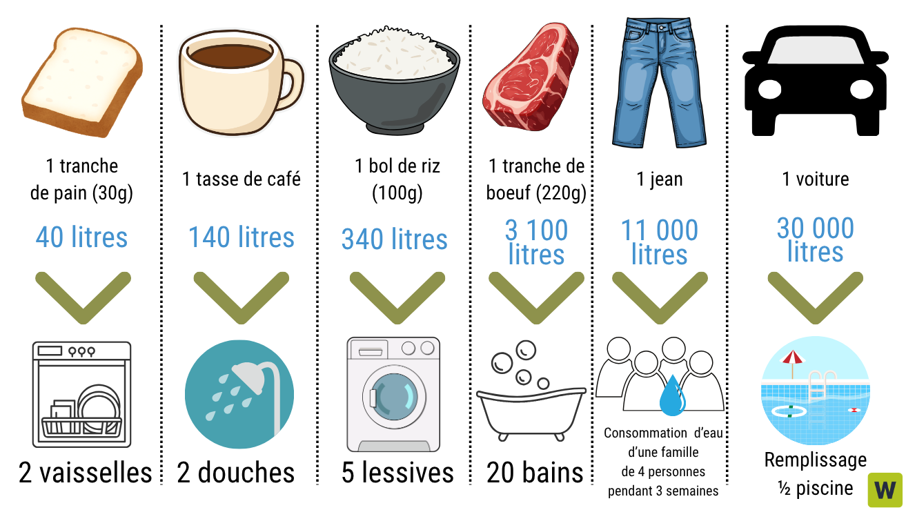 Usage d'eau pour divers produits : pain, café, riz, viande, jean, voiture, comparé à des activités.