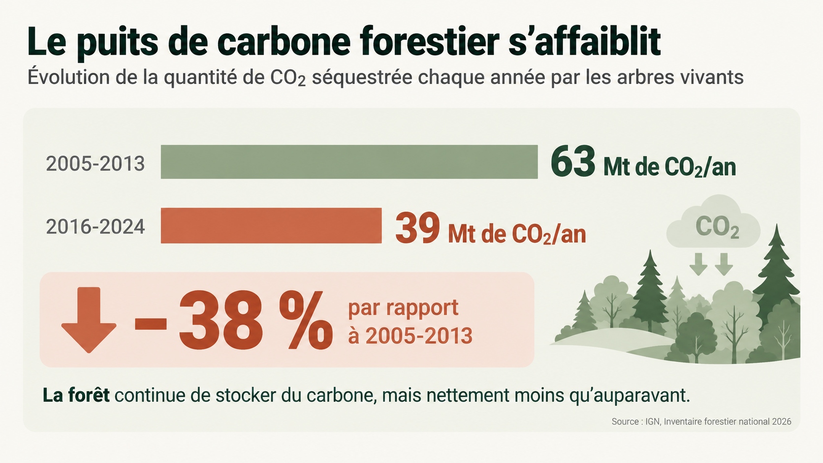 Le puits de carbone forestier diminue de 38 % entre 2005-2013 et 2016-2024.