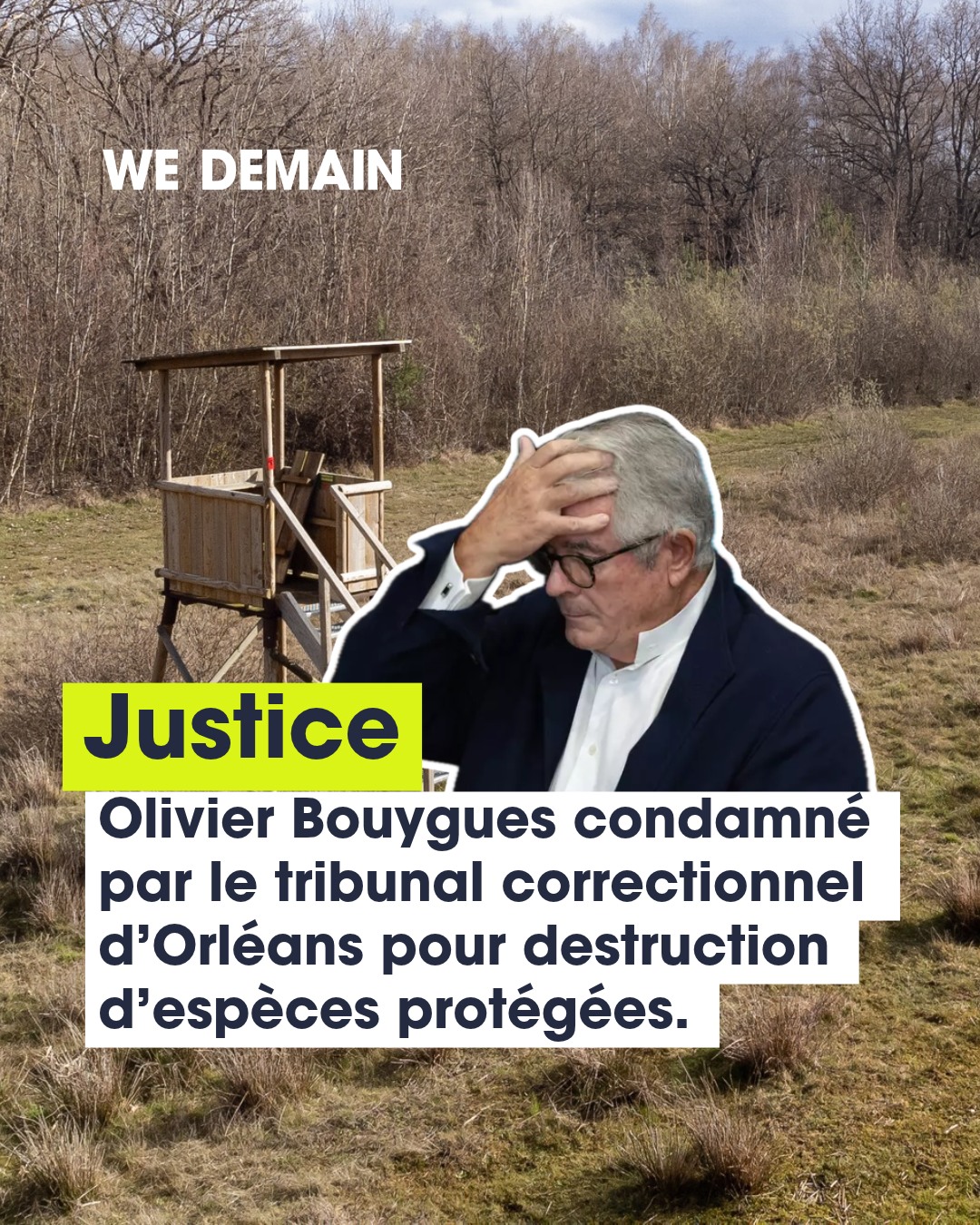 Un charnier d’oiseaux protégés caché depuis 40 ans dans un domaine de chasse. Et au bout, une condamnation retentissante. 🦅

Ce vendredi 23 octobre 2026, le milliardaire Olivier Bouygues, ex-directeur général du groupe éponyme, a été condamné par le tribunal correctionnel d’Orléans dans une affaire de chasses illégales en Sologne. Il a toujours contesté les faits et son avocat a aussitôt annoncé faire appel : la décision n’est donc pas définitive.

Début 2025, lors d’une perquisition sur son domaine de 650 hectares, les enquêteurs  de l'Office Français de la biodiversité découvrent un charnier d’espèces protégées accumulé depuis plus de quarante ans : faucons crécerelles, grands cormorans, buses variables, grandes aigrettes. S’y ajoutent une centaine de pièges à mâchoires, interdits depuis 1995, des pesticides toxiques, et des carnets de gardes-chasse recensant des destructions rémunérées en primes versées en liquide.

Pour Allain Bougrain-Dubourg, président de la @lpo_officiel, a déclaré à nos confrères du journale Le monde que ce jugement est « un sérieux avertissement pour les autres grands propriétaires de domaines de chasse qui s’estiment au-dessus des lois ».