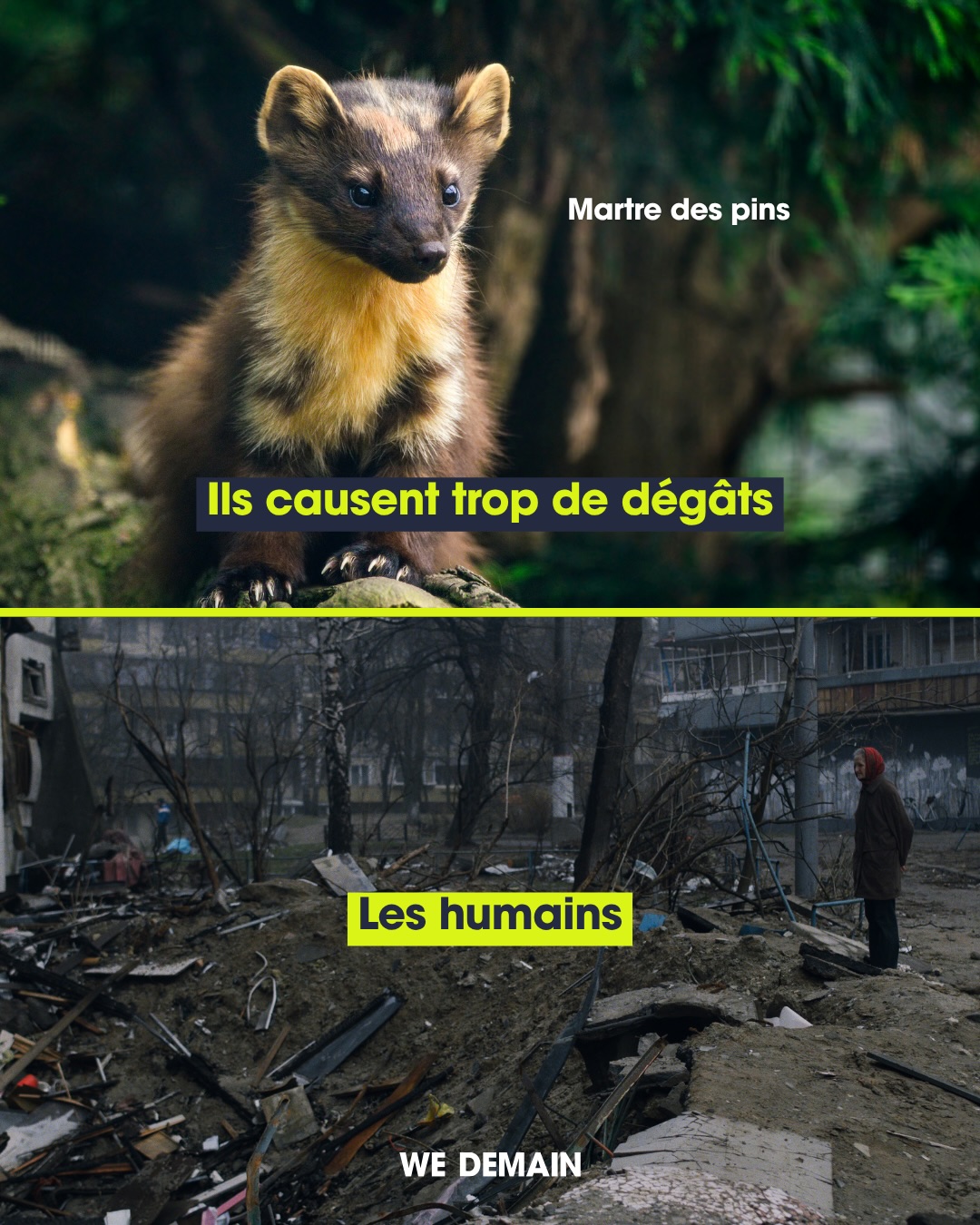 🦊 Et si les “nuisibles” avaient pourtant leur place dans nos forêts ?
 
Renards, fouines, martres, belettes, corneilles, pies, geais ou encore étourneaux : toutes ces espèces participent à l’équilibre des écosystèmes. Régulation des populations, dispersion des graines… chacune joue un rôle dans la dynamique de la forêt. Pourtant, le 21 août 2026, plusieurs de ces espèces ont été reclassées comme « espèces susceptibles d’occasionner des dégâts » (ESOD). Ce statut permet, sous certaines conditions, de déroger à leur protection.

Alors, faut-il vraiment chercher à limiter leur présence ? Peut-être faut-il aussi se demander quelle place nous occupons, nous, dans ces écosystèmes. Avant de considérer une espèce comme une nuisance, pourquoi ne pas interroger l’impact de nos propres activités sur les habitats qui l’accueillent ?

Protéger la biodiversité, c’est aussi apprendre à vivre avec elle.
 
#faunesauvage #esod #nuisibles
