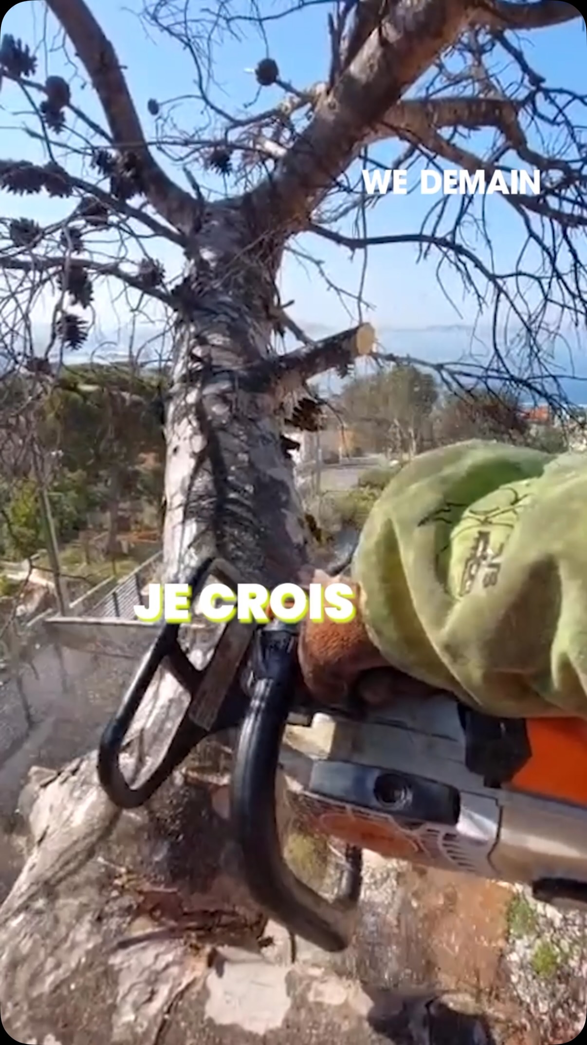Ils grimpent aux arbres pour les entretenir ou restent au sol lorsque les abattre est devenu nécessaire. 

Qui sont ces artisans de la nature ? 

On prend quelques minutes pour le découvrir !