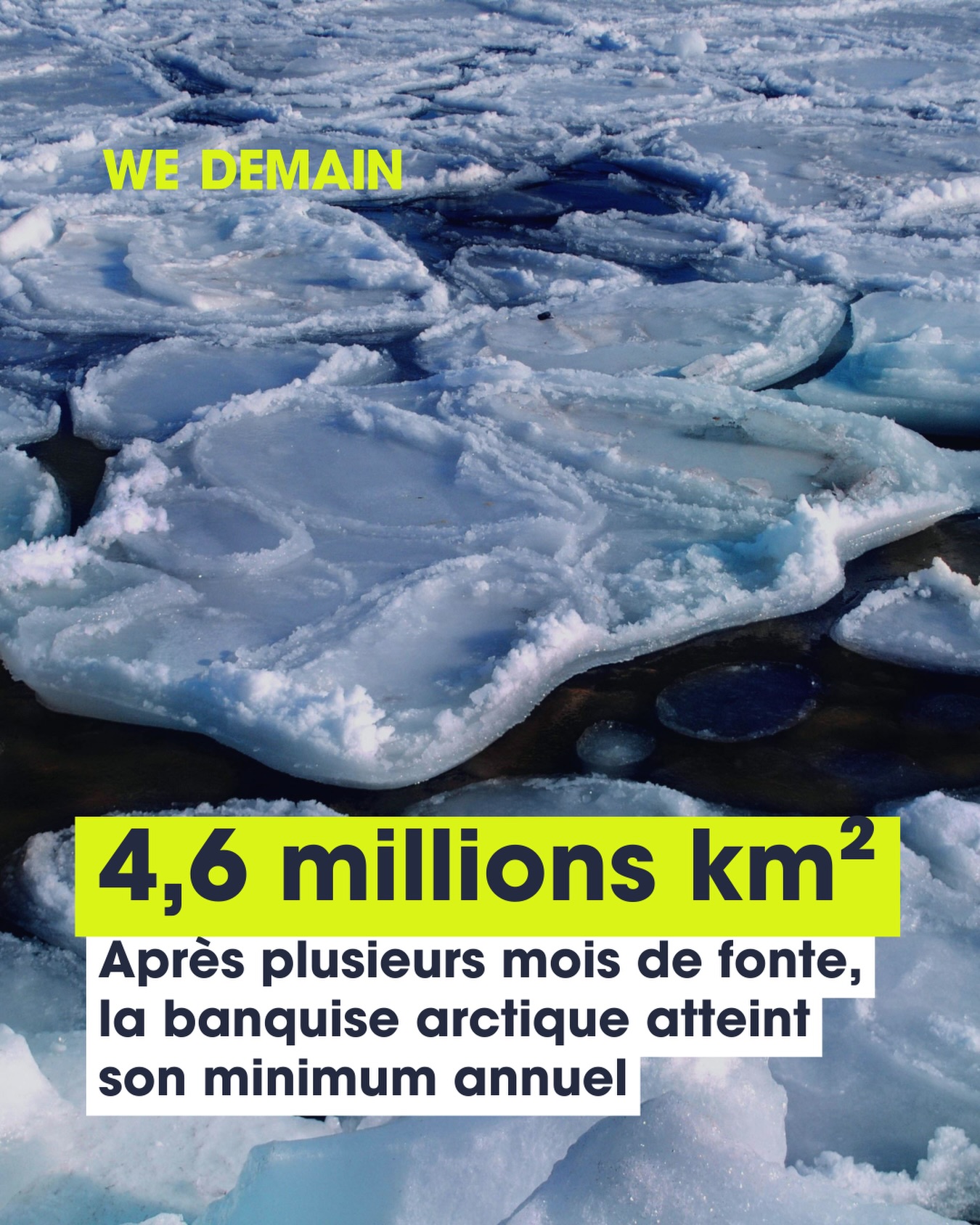 🥶La banquise arctique au plus bas de l’année ...
 
Après plusieurs mois de fonte estivale, la banquise arctique a atteint son minimum annuel le 12 septembre 2026, avec une étendue estimée à 4,6 millions de km².
 
Selon les données satellites de la NASA et du NSIDC, ce niveau figure parmi les plus faibles enregistrés depuis le début des observations satellitaires, en 1978. Si la durée de la saison de fonte s’est stabilisée depuis 2010, la banquise reste aujourd’hui nettement plus fine qu’il y a plusieurs décennies. 🧊

#banquise #fonte #changementclimatique